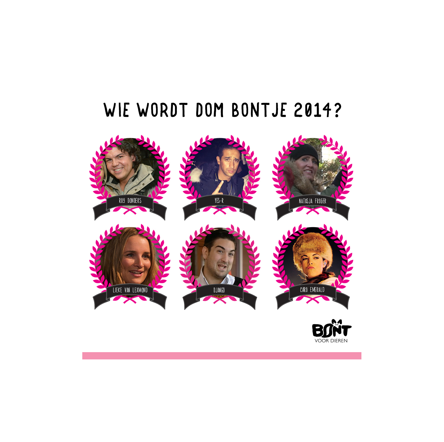 Dom Bontje verkiezing 2014