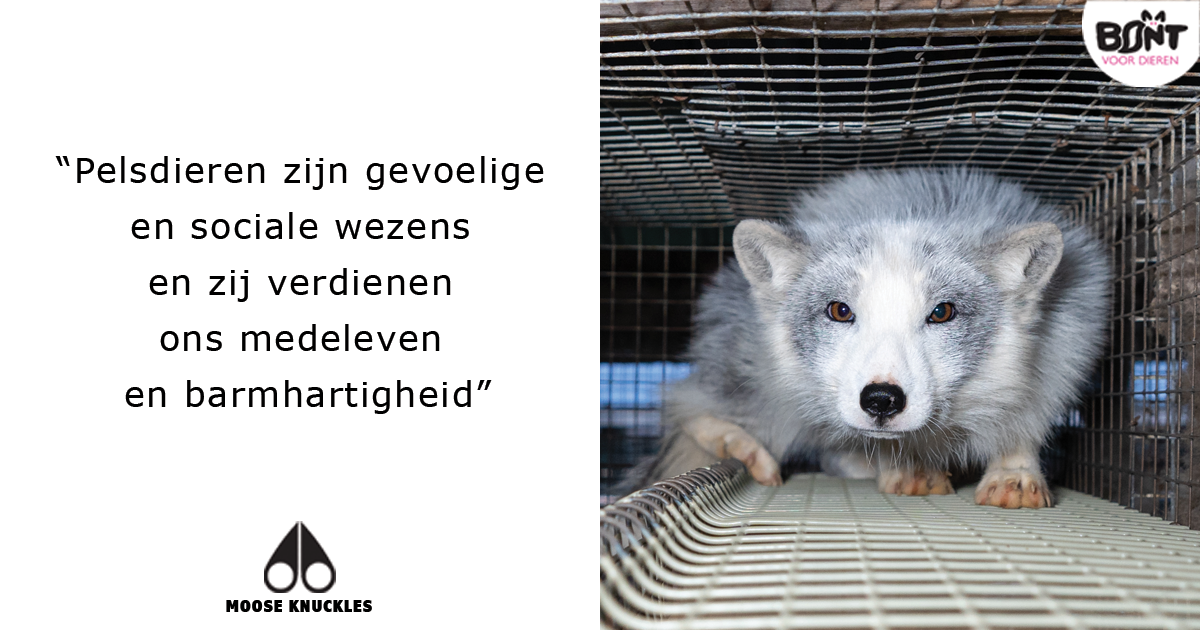 Modemerken Statement versus Reality Bont voor Dieren